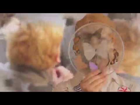 Diosque - Broncedado (video oficial)