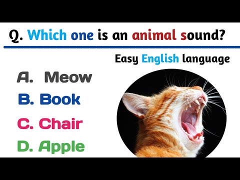 Learn English for Beginners | Basic English MCQ with Answers #english #mcq