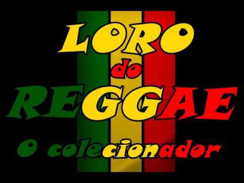 DANI MARLEY 2015 - ROSY VALENÇA