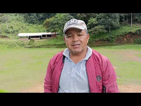 Preparación Abonos Orgánicos Vereda La Florida Morales Cauca 