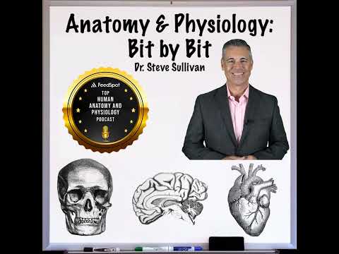 Nervous System Part 1 - Episode 17