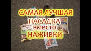 Лучшие насадки и прикормки при ловле карася