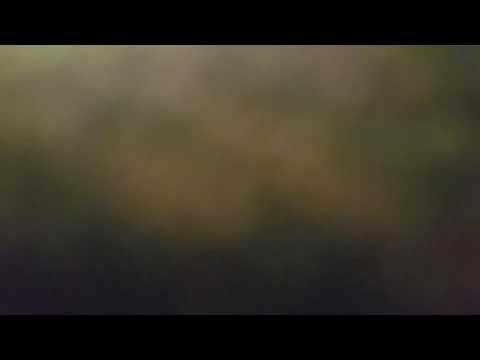 *HELLFIRE* FULL KICKDOWN! - DAF DB250