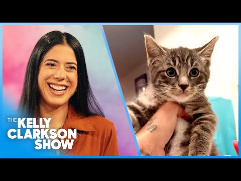 Kelly Clarkson Surprises Woman Rescuing Thousands Of Stray Cats