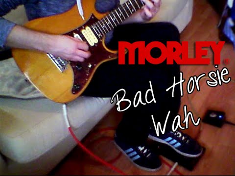 Morley - Bad Horsie Wah (Quick Demo)