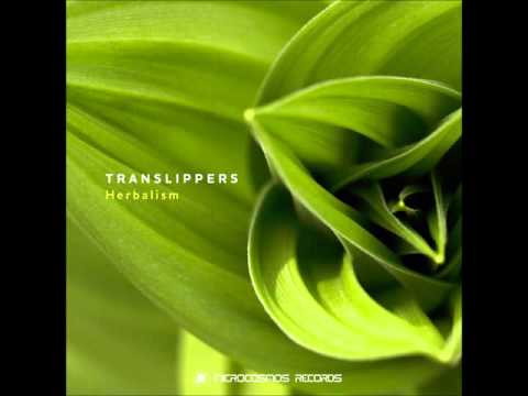 Translippers - Herbalism [Full Album]
