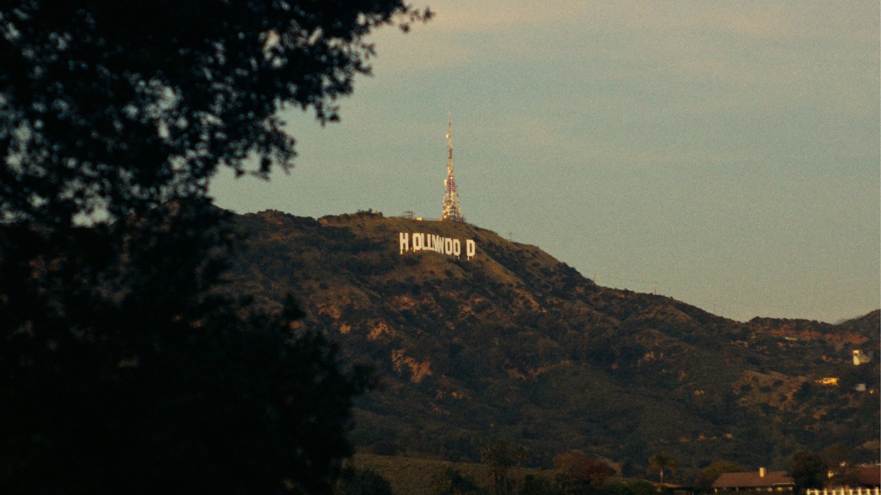 SS25 / Aimé Leon Dore