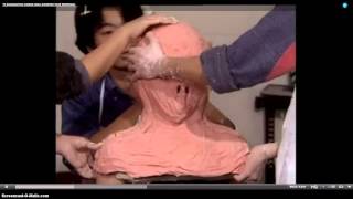 Flowers of Flesh and Blood