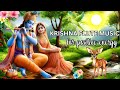 KRISHNA FLUTE MUSIC FOR POSITIVE ENERGY MEDITATION RELAXING MUSIC MORNING FLUTE INDIAN FLUTE 377