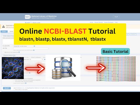 How to use BLAST : Quick & Easy Tutorial | Bioinformatics | English | 