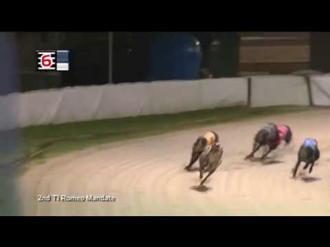 2019 CORAL CORONATION CUP - 3RD SEMI - T6 BRIGADIER BULLET