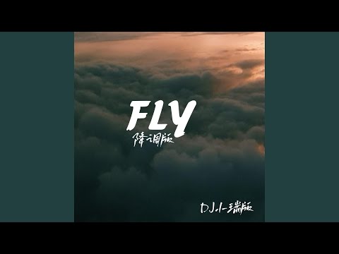 Fly (降调版)