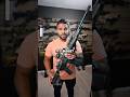 Is This The Best Budget Rifle Under $500