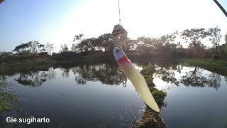Abu garcia salty stage mebaru