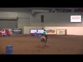2012 Elite Barrel Race Cathy Cahill