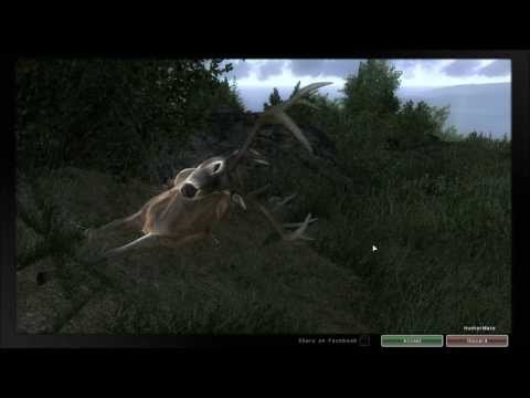 The Hunter WhiteTail 145 points recurve bow