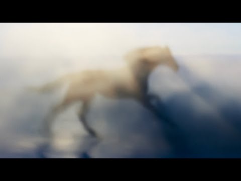 Call of the Wind - Blender Short Film