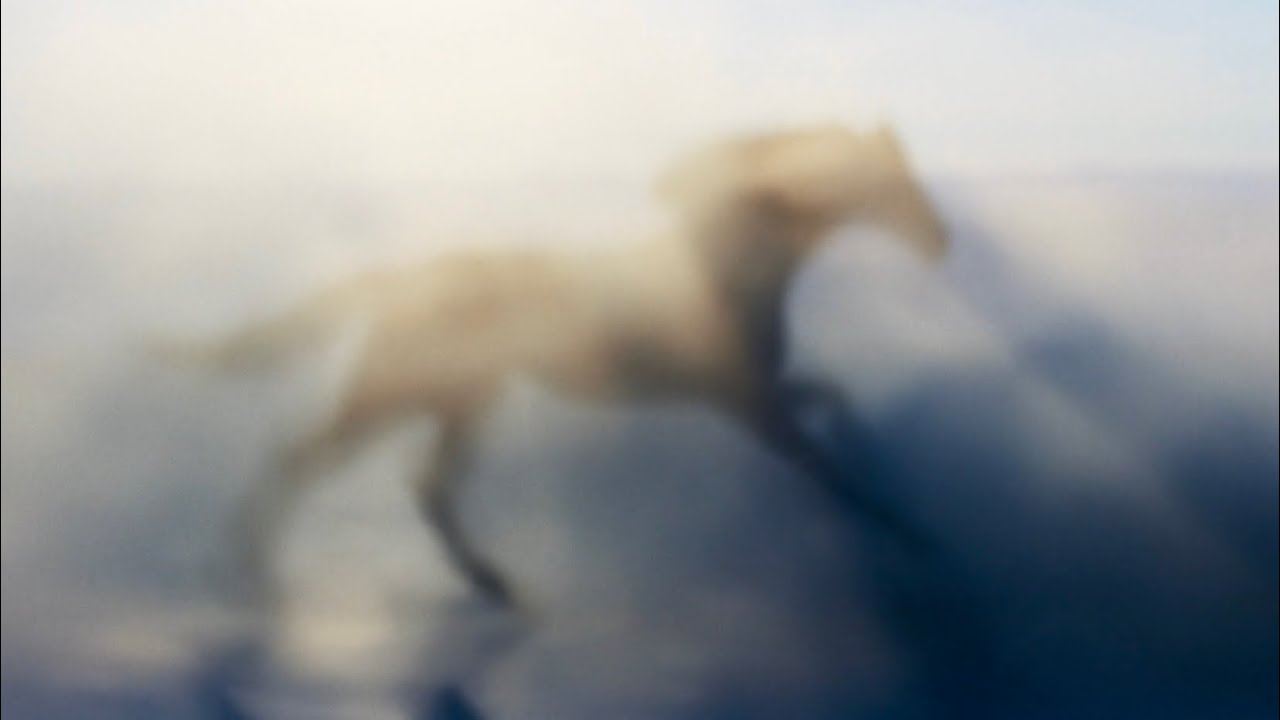 Call of the Wind - Blender Short Film