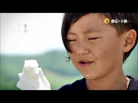 北海道帯広市への移住【メリットやデメリット】｜移住マップ