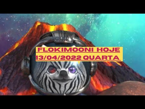 NOTÍCIAS FLOKIMOONI HOJE 13/04/2022 QUARTA