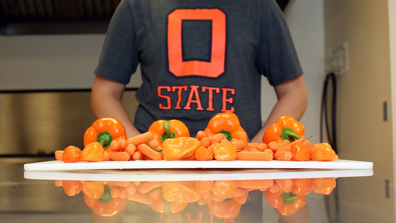 What is Food Science?