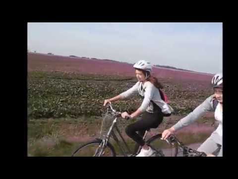 VI Rajd po Gminie Pietrowice Wielkie 1.10.2016