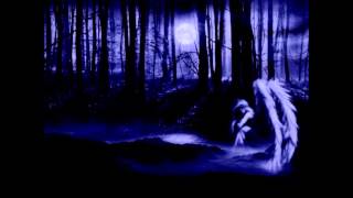 Anneke van Giersbergen feat Sharon den Adel - Somewhere acoustic version