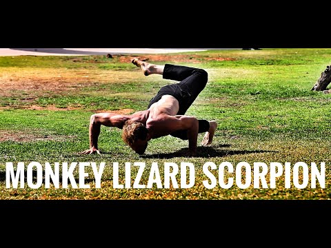 Monkey, Lizard , Scorpion, Flow