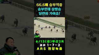 "승부인데 삼쌍승 가셔야죠!" 삼쌍 66.6배 적중!