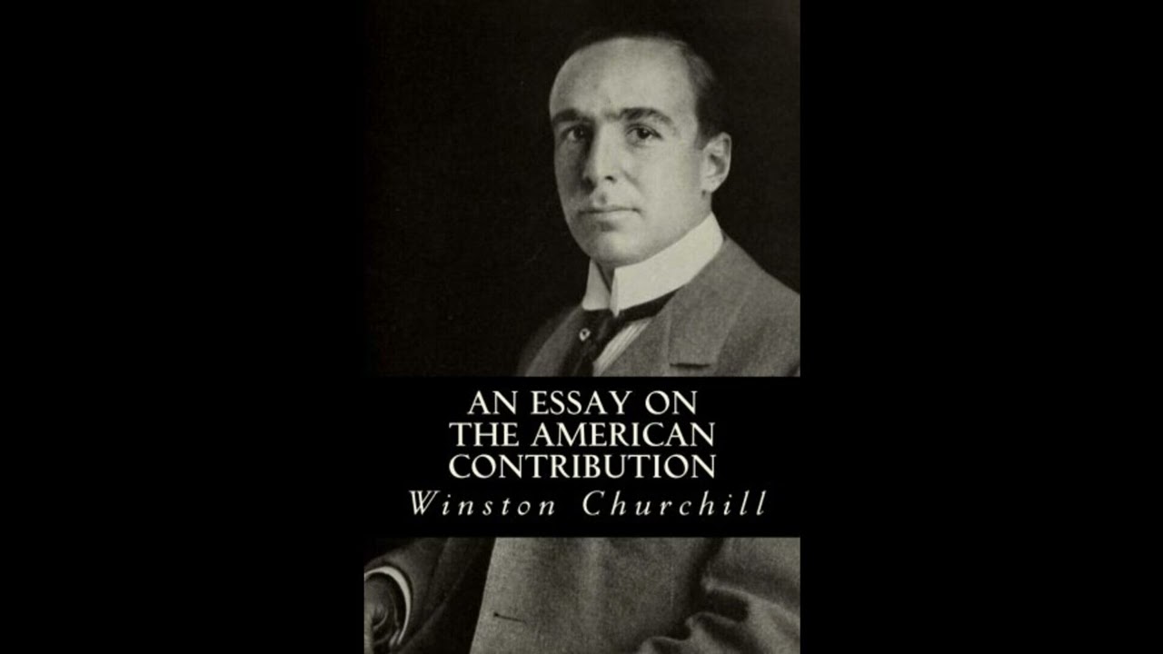 An Essay On The American Contribution: And The Democratic Idea