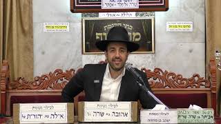 הרב מאיר אליהו | פרשת מקץ | מוסאיוף - ה'תשפ"ד