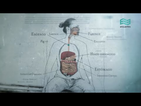 Sistemas. Cuerpo humano: Digestivo (capítulo completo) - Canal Encuentro HD