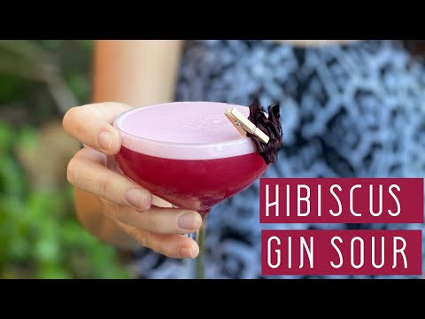 GIN HIBISCUS SOUR || A gin sour cocktail recipe that is pretty and tasty!