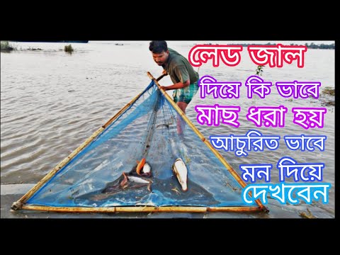 Amazing Fastest Giant Bluefin Tuna and Swordfish Fishing Skill - Most Satisfying Sea Fishing Videos