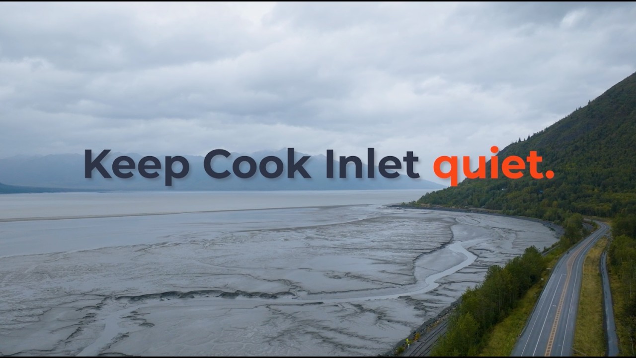 Keep Cook Inlet Quiet for Belugas