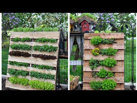 Growing A Vertical Garden? Here Are 8 Hacks To Turn Heads! Video