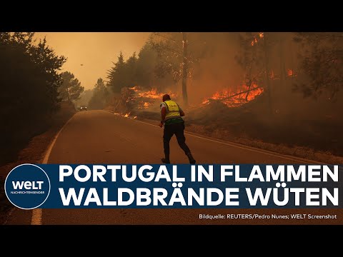 PORTUGAL: Waldbrände außer Kontrolle! Fünf Todesopfer | Tausende Feuerwehrleute weiter im Einsatz