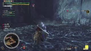 [モンハンワイルズ]夜活！歴戦王アルシュベルド！