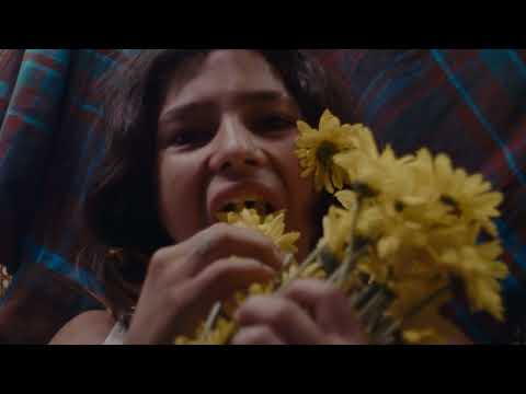 Margarita Siempre Viva - Depresión Post Paisaje (Video Oficial)