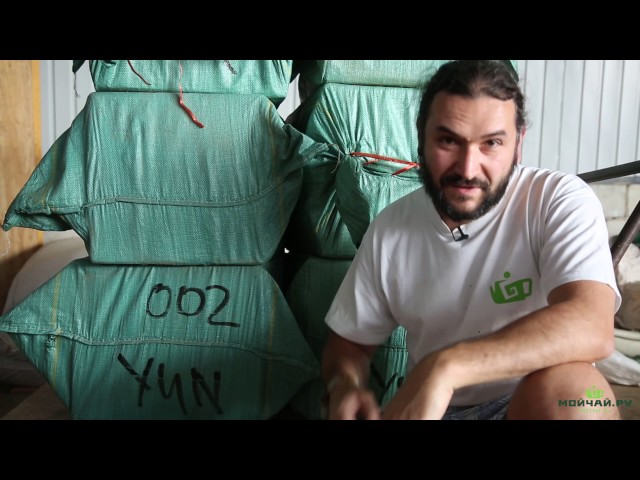 Контроль упаковки партии чая. Чайный завод. Прессовка блинов. Юньнань.