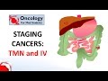 Staging Cancers TNM And I IV Systems