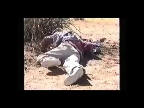 The Undocumented - Marimba Woods of my Town