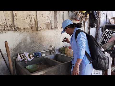 Distrito II de Managua fortalece la prevención de enfermedades transmitidas por mosquitos