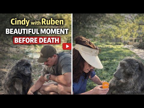 Cindy the Baboon’s Last Beautiful Moments with Ruben & Family#Baboon lovers #cats lovers# doglovers