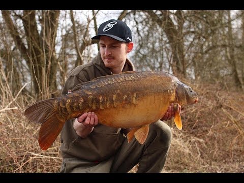 Quick impact carp fishing tactics with Ross Ryder