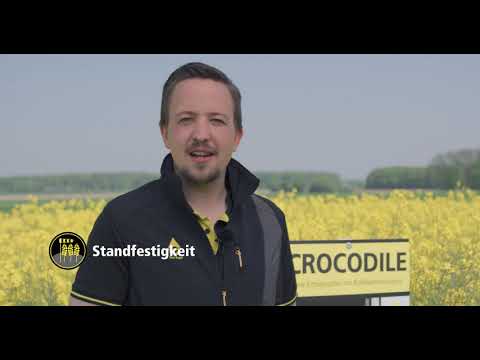 Sortenvorstellung CROCODILE