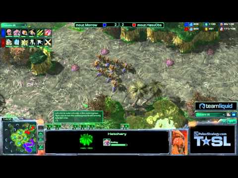 Game 5 - mouz.Morrow vs mouz.HasuObs - TSL3 Ro16 Match 6