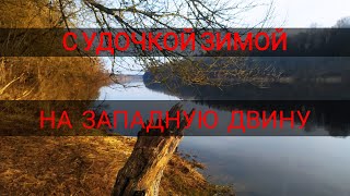 Рыбалка в витебской области форум 2020