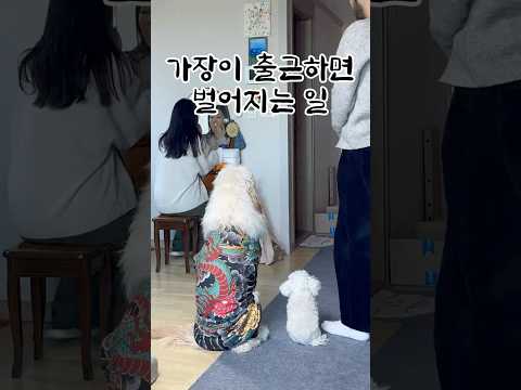 우리집 가장이 출근 할 때