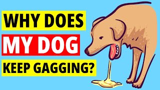 Why Does My Dog Keep Gagging?